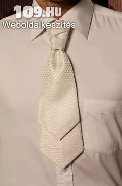 Francia nyakkendő