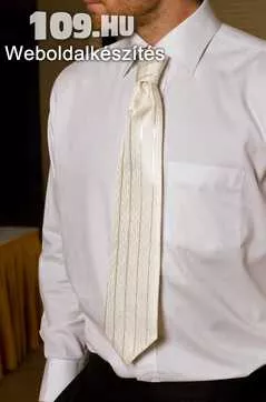 Francia nyakkendő